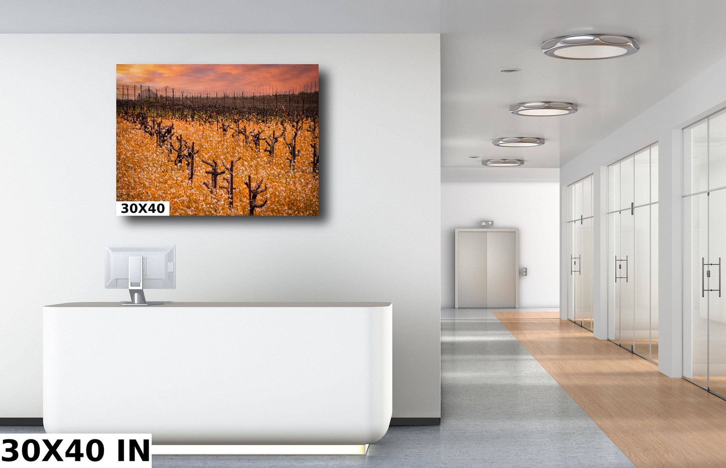 Vineyard Fine Art Photography | California Fall Golden Amador County Winery Poster | Canvas Wall Art | Wine Country | Paper, Acrylic, Metal