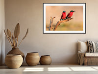 African Birds Fine Art Photography | Carmine Bee Eater Pair, Nature Print, Canvas Wildlife Wall Art, home, office decor