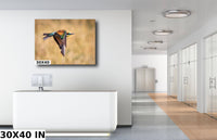 African Bird in Flight Photo | European Roller Fine Art Photography, Nature Canvas Wall Art, Wildlife Poster |  | Print home, office decor