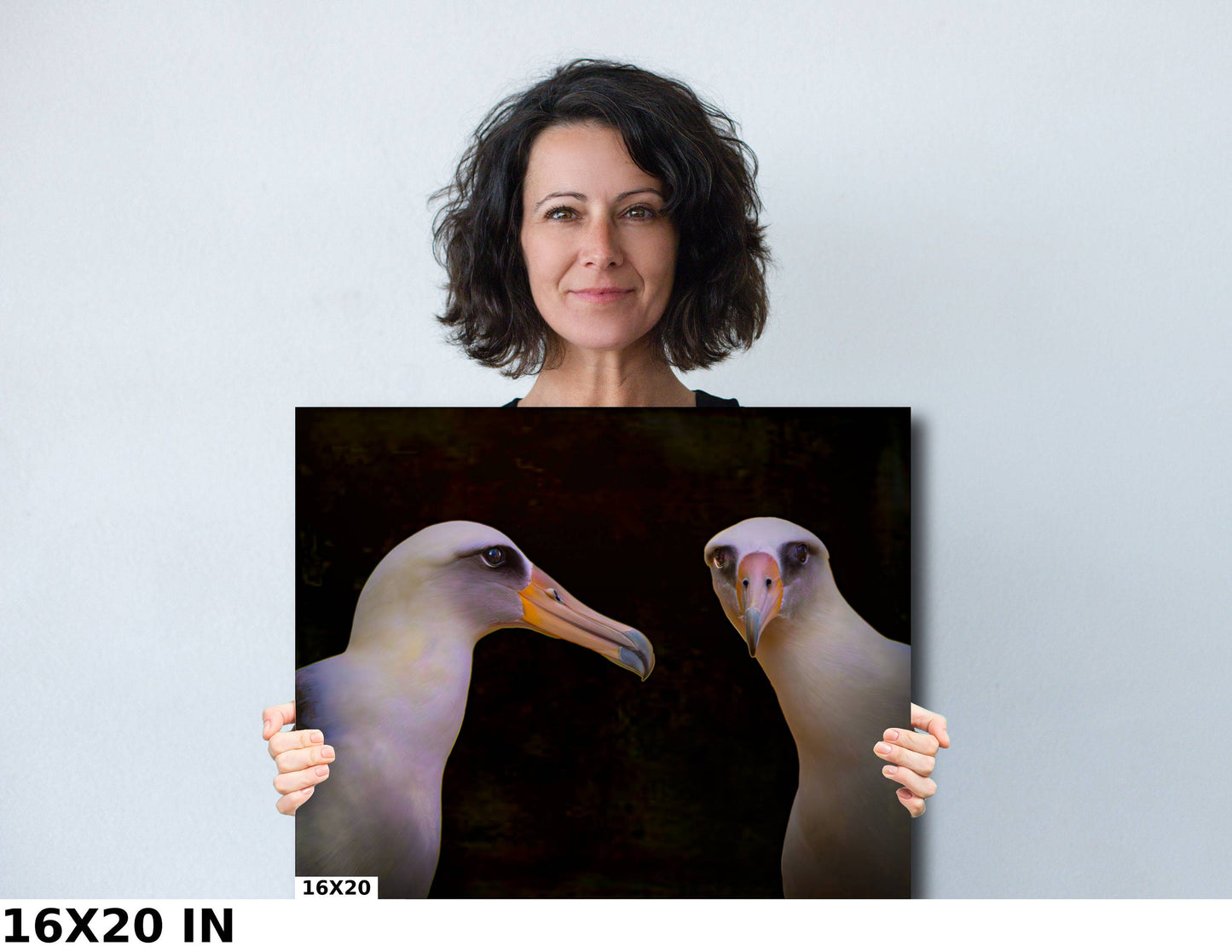 Albatross Sea Bird Pair | Hawaii Pacific Coast Nature Print, Wall Art, Canvas Wildlife Photo | Fine Art photography | home, office decor