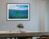 Vineyard Fine Art Photography, California Sonoma Wine Grapes Photo | Winery Canvas Wall Art, | Winery Poster, Acrylic, Metal, Paper