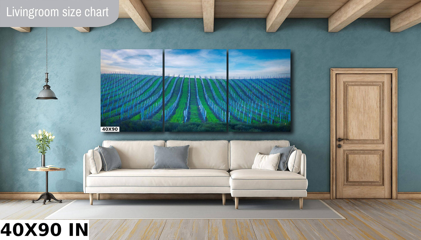 Vineyard Fine Art Photography, California Sonoma Wine Grapes Photo | Winery Canvas Wall Art, | Winery Poster, Acrylic, Metal, Paper