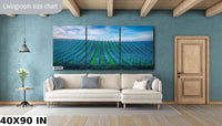 Vineyard Fine Art Photography, California Sonoma Wine Grapes Photo | Winery Canvas Wall Art, | Winery Poster, Acrylic, Metal, Paper