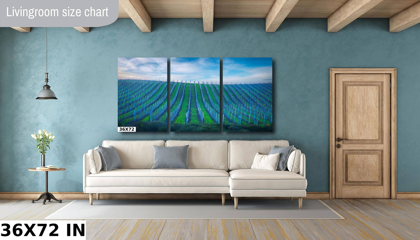 Vineyard Fine Art Photography, California Sonoma Wine Grapes Photo | Winery Canvas Wall Art, | Winery Poster, Acrylic, Metal, Paper