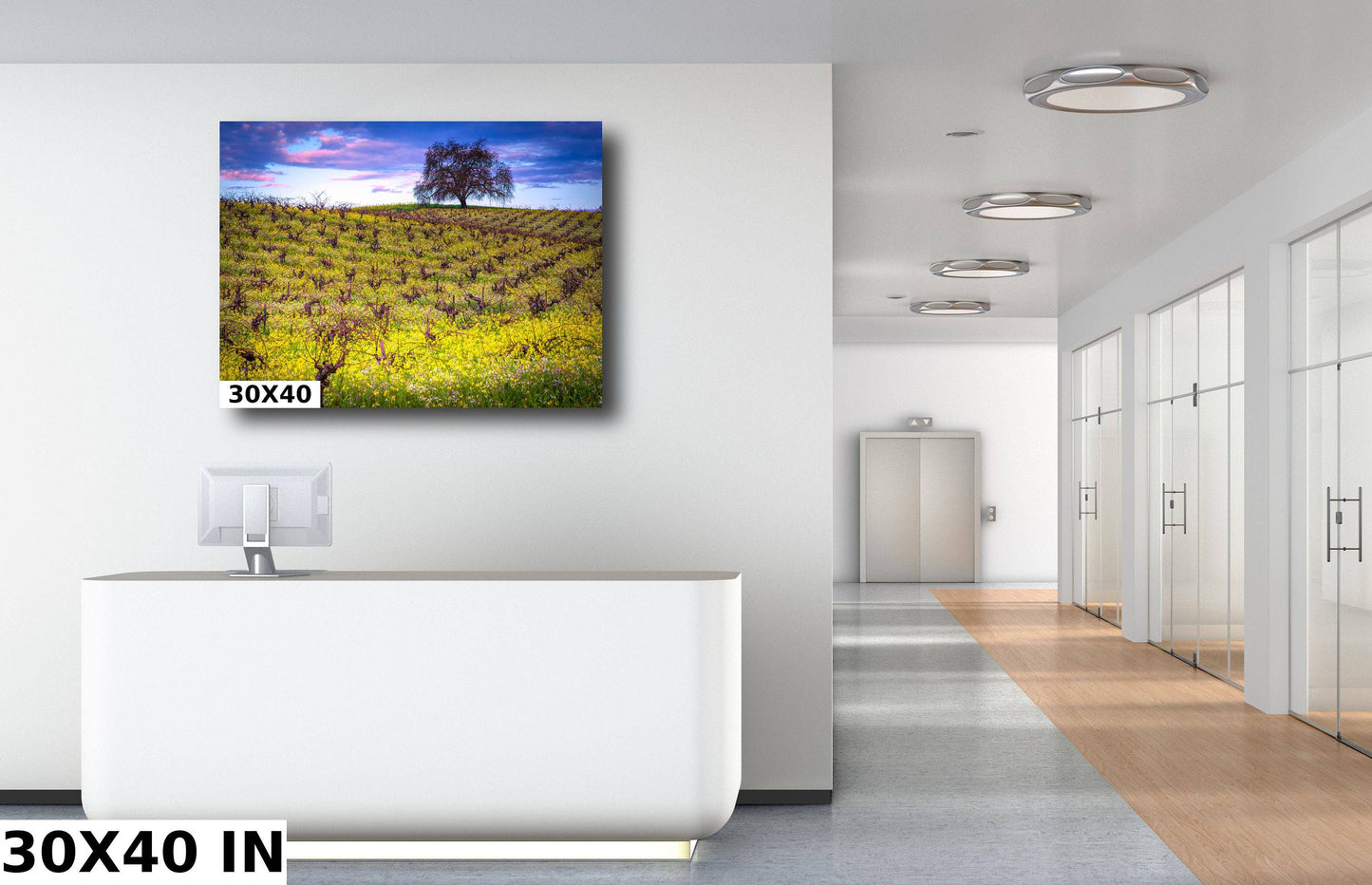 Vineyard Fine Art Photography, California Spring Sonoma Wine Grapes & Mustard Photo | Winery Canvas Wall Art, Acrylic, Metal, Paper