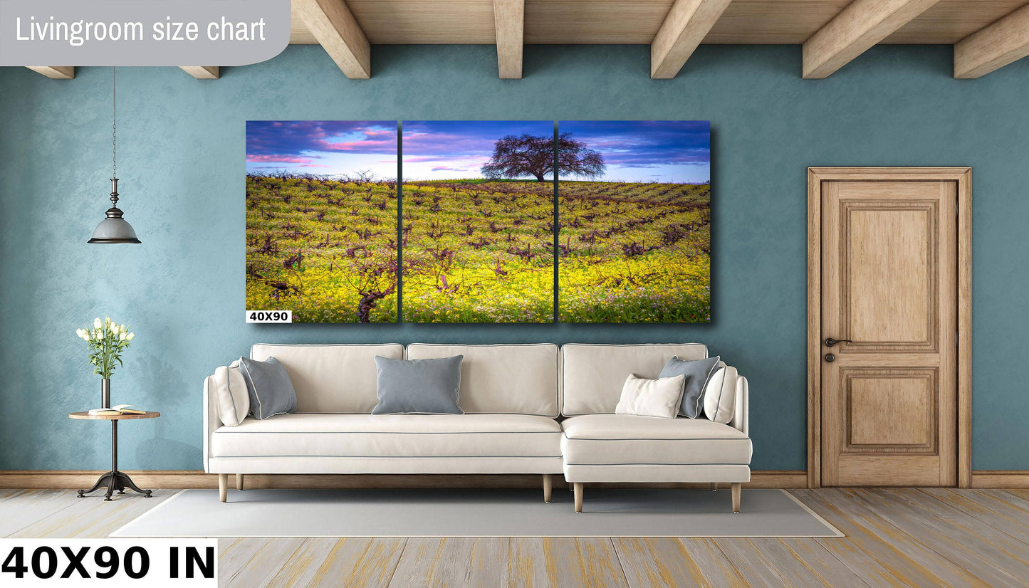 Vineyard Fine Art Photography, California Spring Sonoma Wine Grapes & Mustard Photo | Winery Canvas Wall Art, Acrylic, Metal, Paper