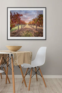 Vineyard Print, California Fall Amador County Winery Grapes Photo | Canvas Wall Art, Fine Art Photography, Canvas, Acrylic, Metal, Paper