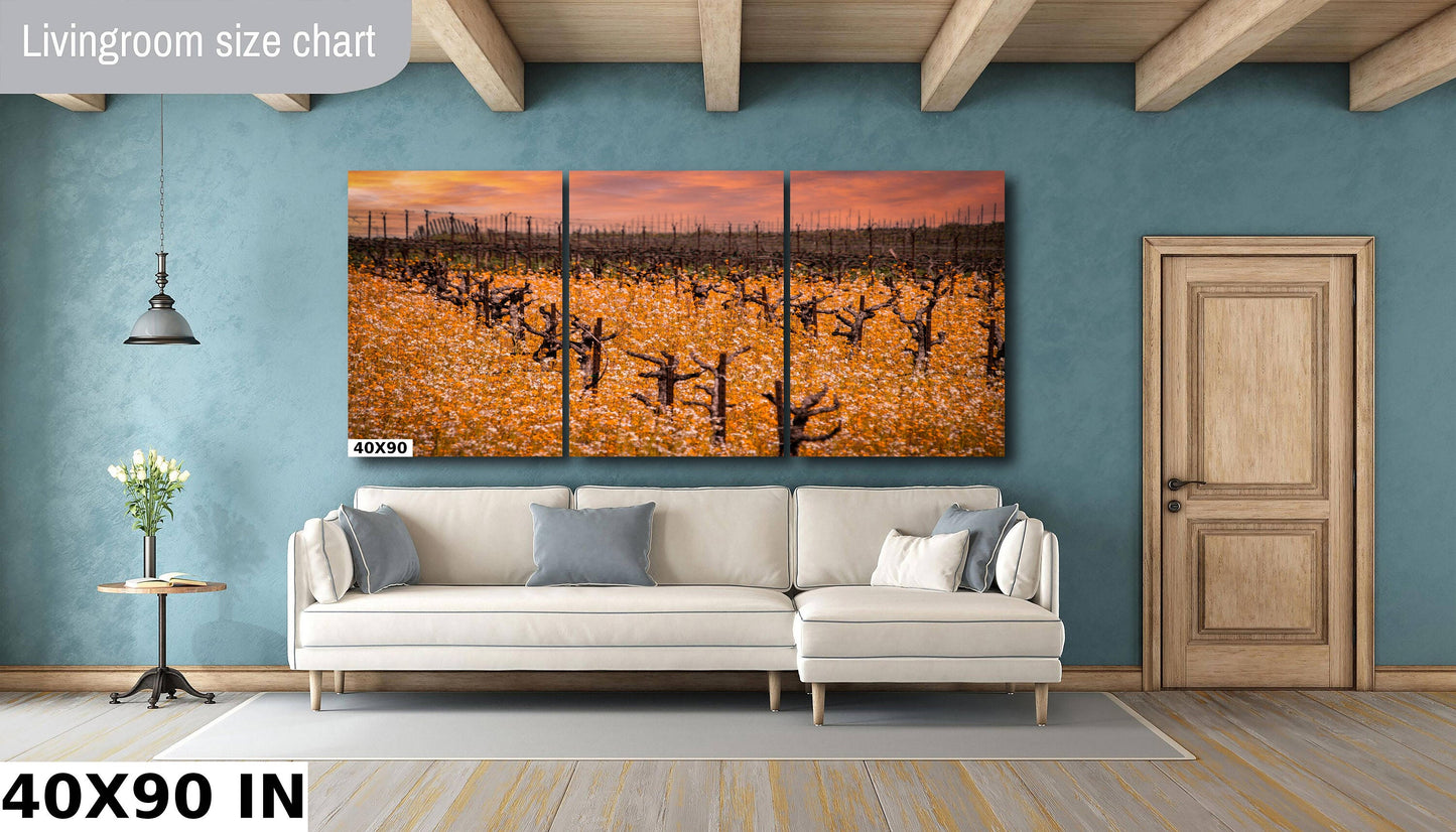 Vineyard Fine Art Photography | California Fall Golden Amador County Winery Poster | Canvas Wall Art | Wine Country | Paper, Acrylic, Metal