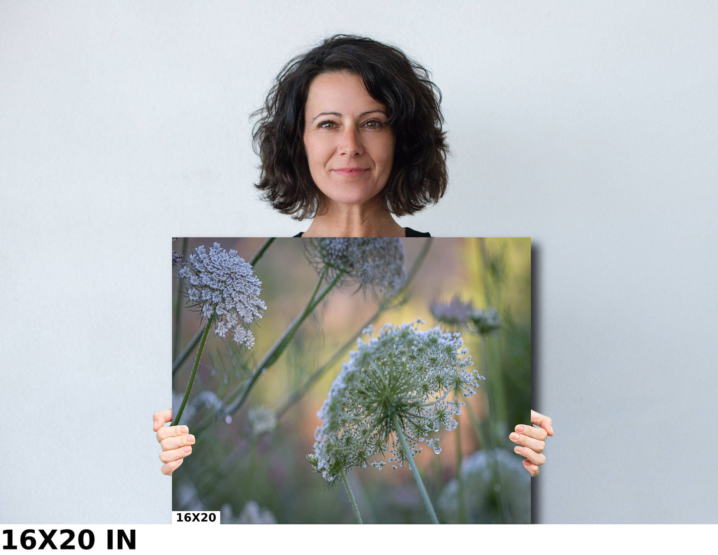 Lavender Farm Wild Flowers Fine Art photography | Amador County California Canvas Wall Art, home, office decor | Wild Carrot flowers