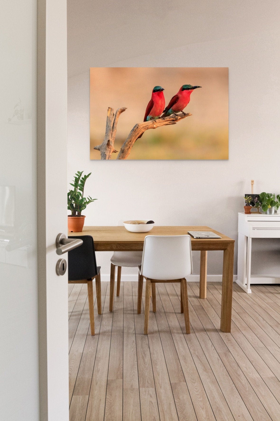 African Birds Fine Art Photography | Carmine Bee Eater Pair, Nature Print, Canvas Wildlife Wall Art, home, office decor