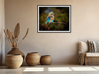 African Birds Poster |  Lilac Breasted Roller Nature Print, Canvas Wildlife Wall Art Photo | Fine Art Photography | home, office decor