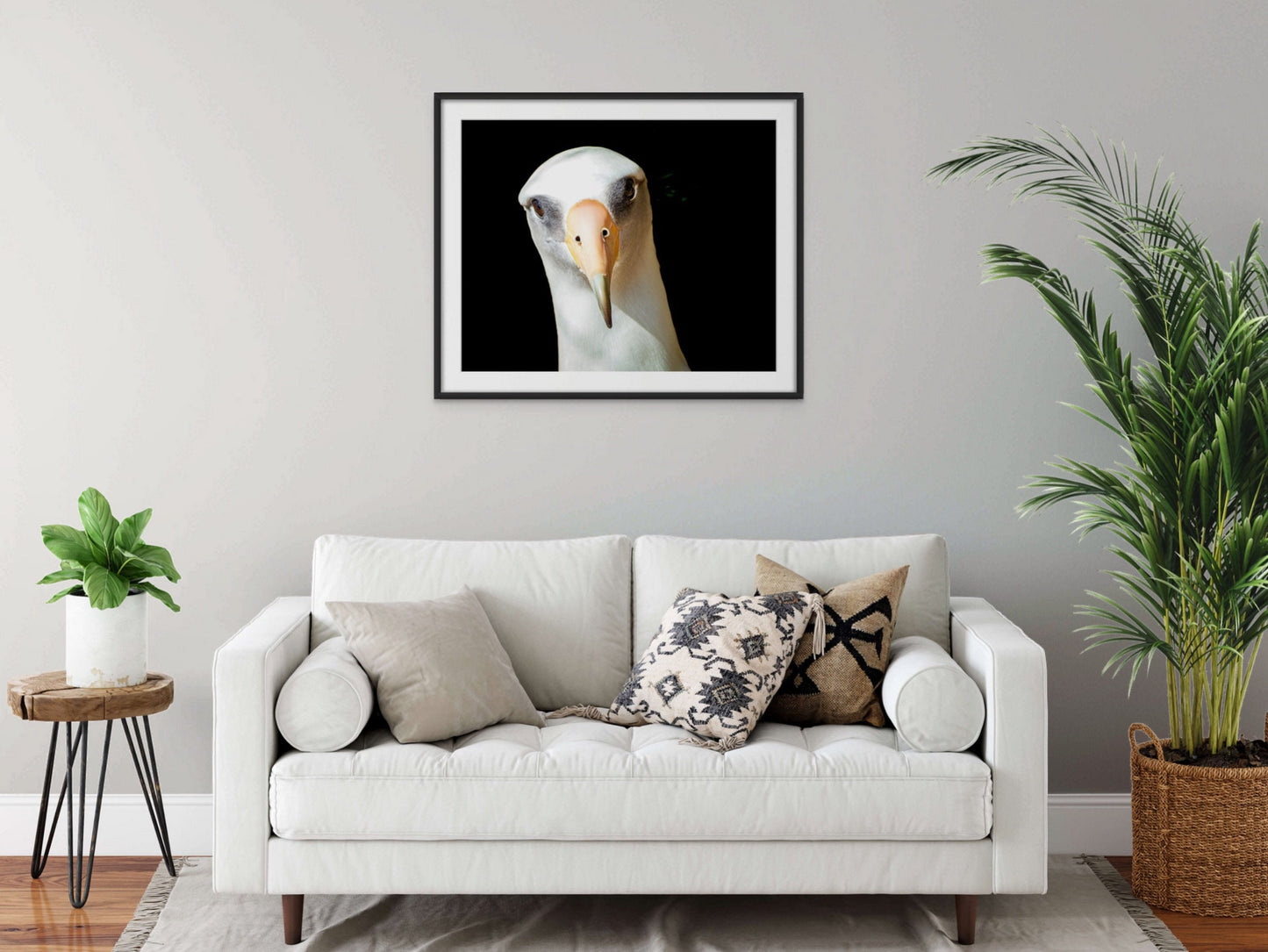 Albatross Sea Bird Fine Art Photography | Hawaiian Coastal Nature Print, Canvas Wildlife Wall Art | Pacific Ocean home, office decor