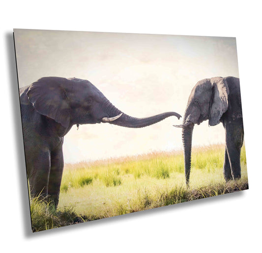 African Elephant pair greeting, Wildlife Photography, Animal Photo Print, Nature Wall Art, Canvas Print, Acrylic print