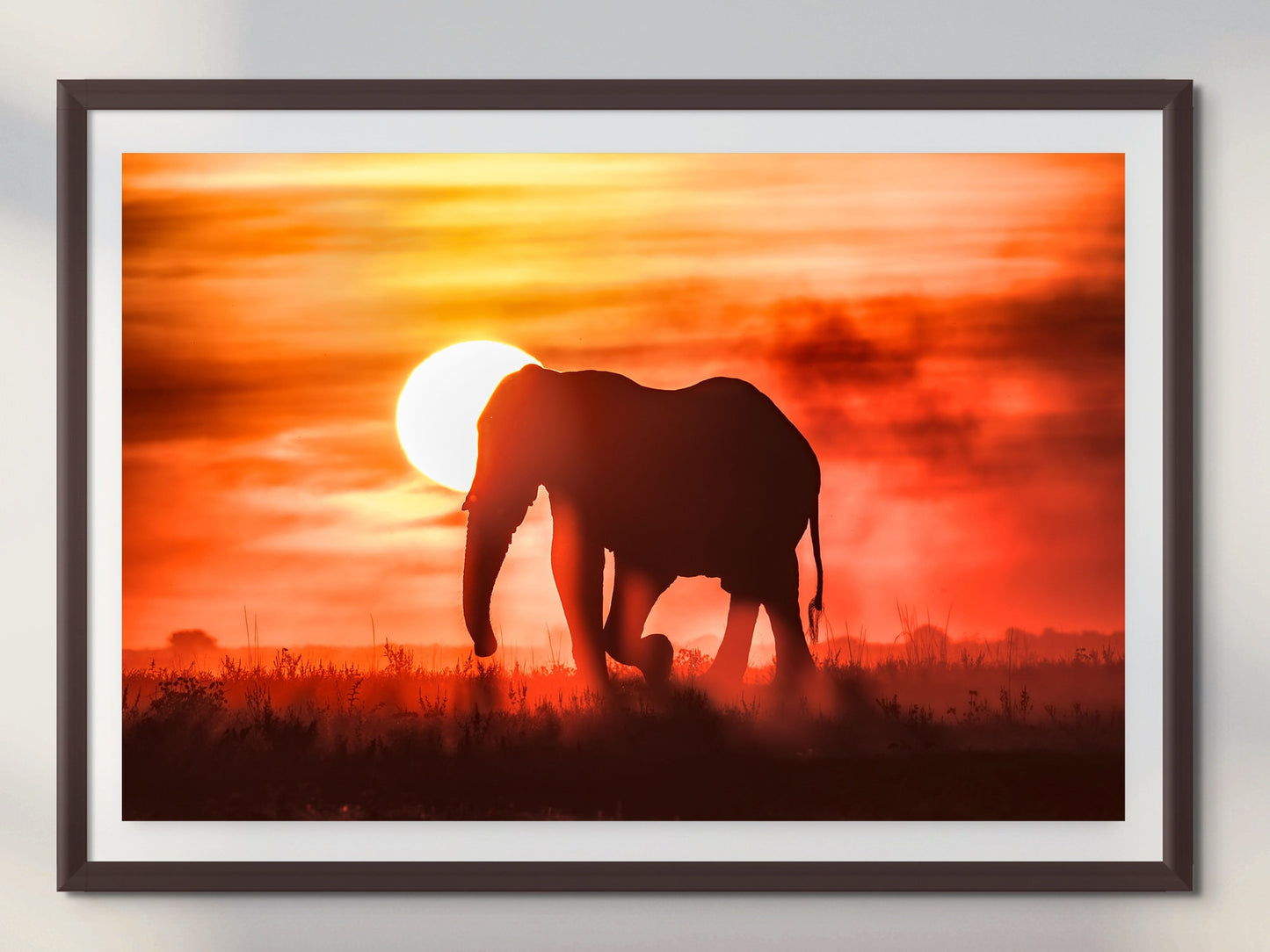 African Elephant at Sunset Wildlife Photography, Canvas Wall Art, Animal Poster, Nature Wall Art, Fine Art Photography, home. office decor