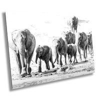 African Elephant, Wildlife Photography, Black and White Animal Poster, Nature Wall Art, Canvas Print, Acrylic print, Fine Art Photography