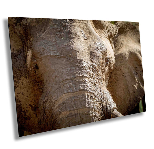 African Elephant, Wildlife Photography, stunning Canvas Animal Poster, Nature Wall Art, Fine Art Photography | home, office decor