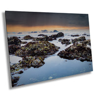 Tide Pools, Sonoma Coast | Canvas Wall Art |  California Pacific Ocean Scenic Landscape | home art, wall decor | paper, canvas, acrylic