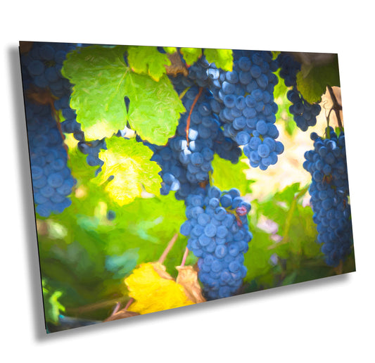 Vineyard Fine Art Photography | California Ripe Wine Grapes Photo | Winery Canvas Wall Art Poster | Vineyard Print, Acrylic, Metal, Paper