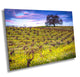 Vineyard Fine Art Photography, California Spring Sonoma Wine Grapes & Mustard Photo | Winery Canvas Wall Art, Acrylic, Metal, Paper