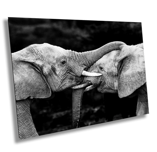 African Elephant Pair Greeting, Wildlife Photography, black & white, Nature Wall Art, Canvas Print, Fine Art Photography, Travel Poster