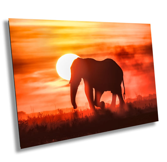 African Elephant at Sunset Wildlife Photography, Canvas Wall Art, Animal Poster, Nature Wall Art, Fine Art Photography, home. office decor