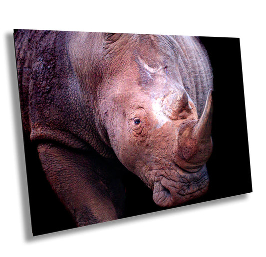 Rhino, Africa Wildlife Photography | Canvas Wall Art | Animal Poster, Nature Wall Art| Fine Art Photography | Canvas, Acrylic, Paper, Metal