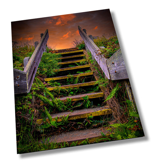 Sonoma Coast Sunrise Stairs | Canvas Wall Art |  California Scenic Landscape | home, wall decor | paper, canvas, acrylic