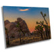 Joshua Tree Fine Art Photography | Desert Sunset. Iconic Joshua Tree Landscape Poster | National Park Nature Canvas Wall Art