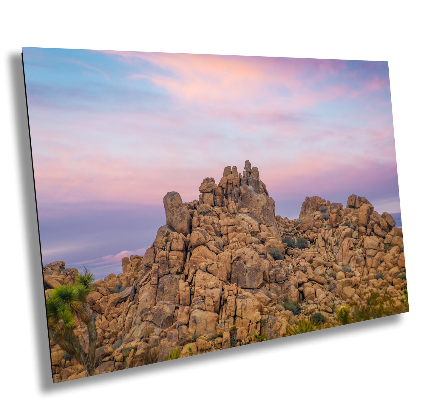 Joshua Tree Desert Sunrise. California National Park Pastel Landscape, Iconic Rocks Canvas Wall Art, Fine Art Photography home, office decor