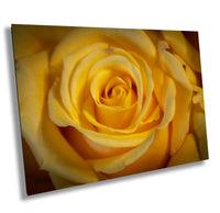 Yellow Rose | Sierra Foothills, Canvas Wall Art, home decor, Mother's Day, photography, acrylic, paper, flowers, rose