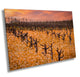 Vineyard Fine Art Photography | California Fall Golden Amador County Winery Poster | Canvas Wall Art | Wine Country | Paper, Acrylic, Metal