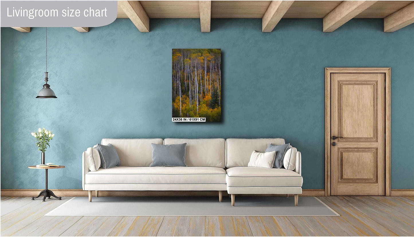 Colorado's Iconic Aspen Forest Rocky Mountain Fine Art Photograph | Fall Canvas Wall Art | Aspen Trees Picture paper, acrylic, metal