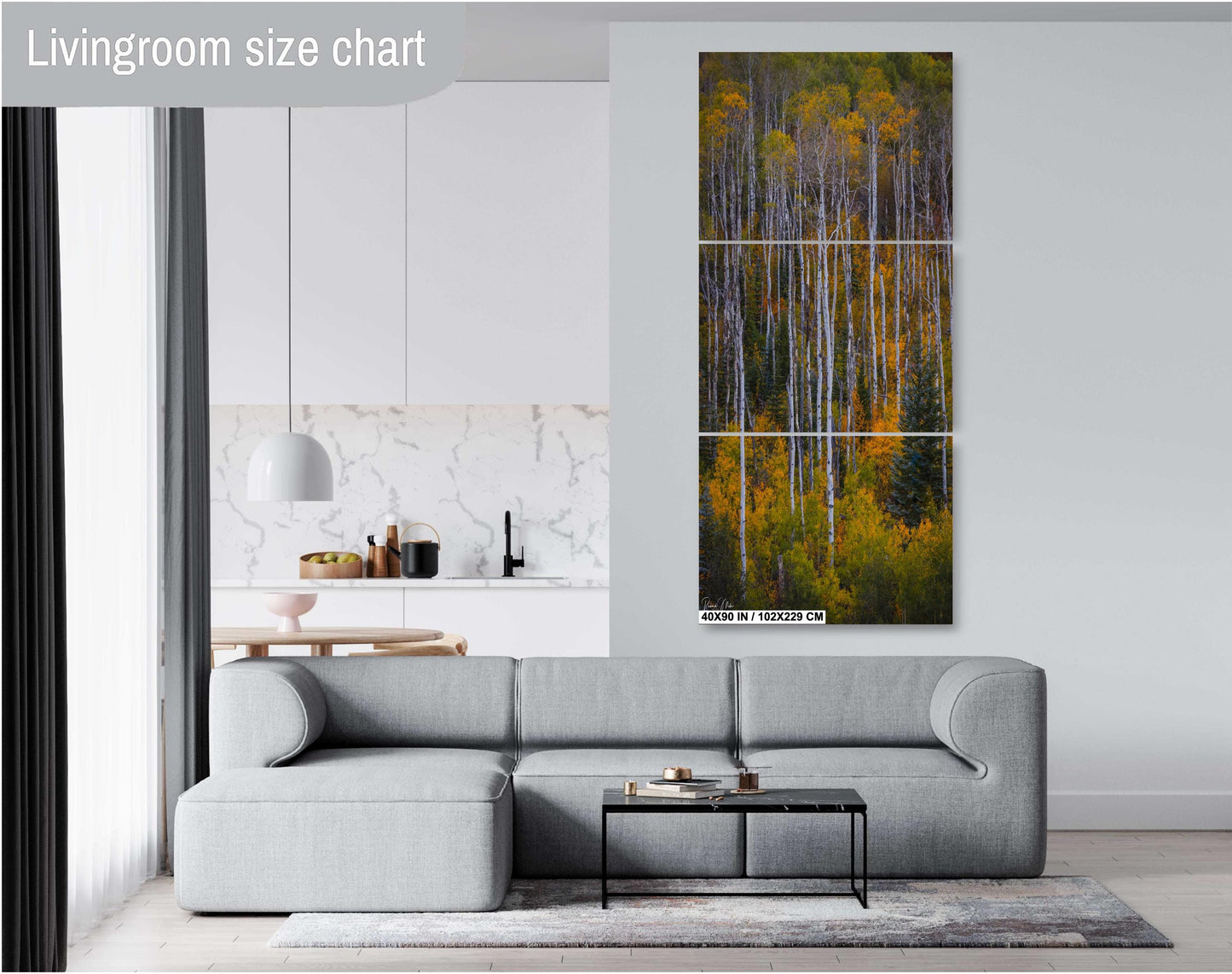 Colorado's Iconic Aspen Forest Rocky Mountain Fine Art Photograph | Fall Canvas Wall Art | Aspen Trees Picture paper, acrylic, metal