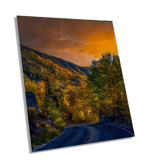 Colorado's Iconic Aspen Forest Road Rocky Mountain Fine Art Photograph | Fall Canvas Wall Art | Aspen Trees Picture paper, acrylic, metal