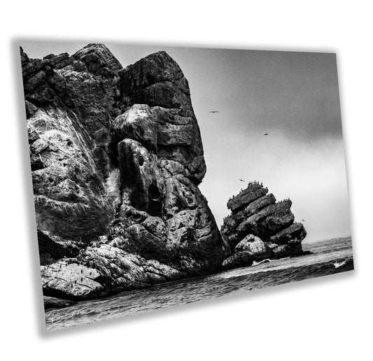 Morro Rock Black & White Wall Art | California Coast Poster | Pacific Ocean Scenic Landscape | wall decor | canvas, paper, acrylic, metal