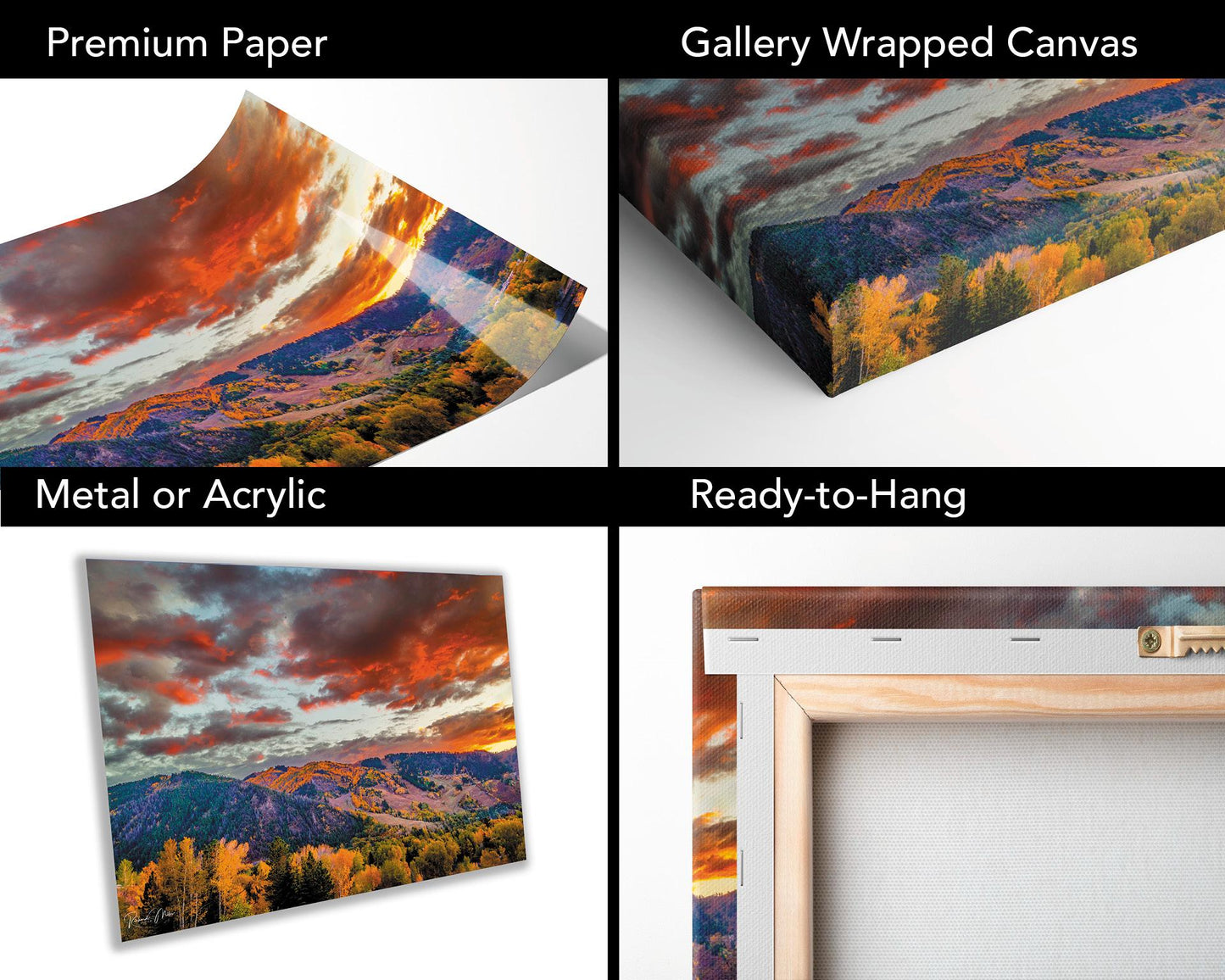 Colorado's Iconic Aspen Sunset Fine Art Photo | Rocky Mountain Fall Colors Print | Canvas Wall Art | Travel Picture paper, acrylic, metal