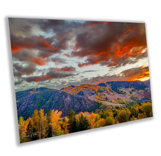 Colorado's Iconic Aspen Sunset Fine Art Photo | Rocky Mountain Fall Colors Print | Canvas Wall Art | Travel Picture paper, acrylic, metal