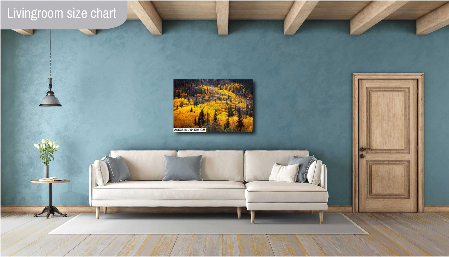 Colorado's Iconic River of Aspen Gold Fine Art Photo | Rocky Mountain Fall Colors Print | Canvas Wall Art | Picture paper, acrylic, metal