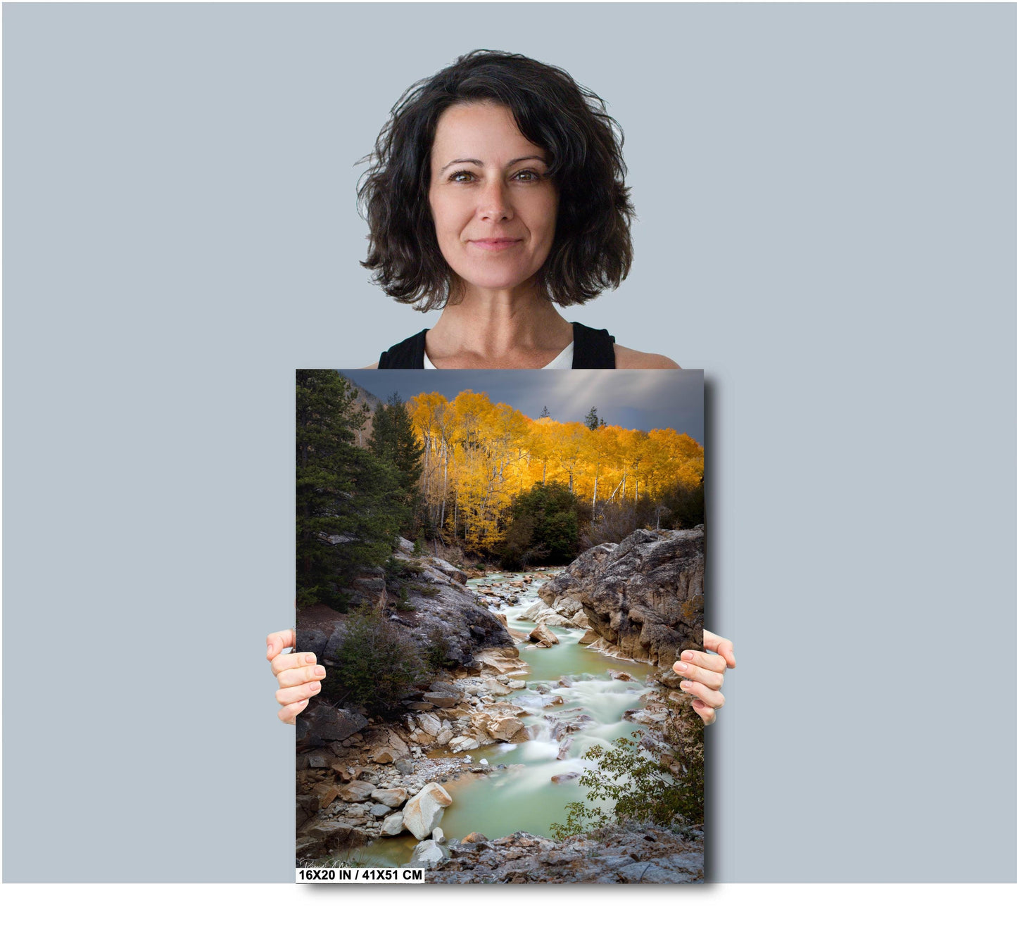 Colorado's Iconic Whillis Gulch Rocky Mountain River Fine Art Photo | Fall Canvas Wall Art | Aspen Picture paper, acrylic, metal