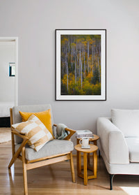 Colorado's Iconic Aspen Forest Rocky Mountain Fine Art Photograph | Fall Canvas Wall Art | Aspen Trees Picture paper, acrylic, metal