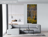 Colorado's Iconic Aspen Forest Rocky Mountain Fine Art Photograph | Fall Canvas Wall Art | Aspen Trees Picture paper, acrylic, metal