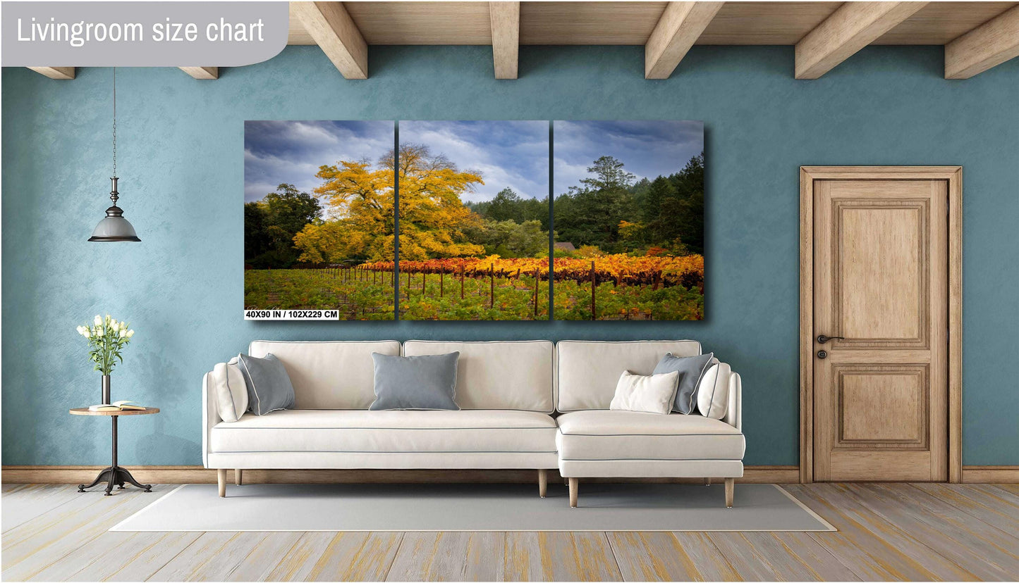 Winery Print, California Napa Valley Grapes to the Wind | Canvas Wall Art, Fine Art Photography | home decor, office decor