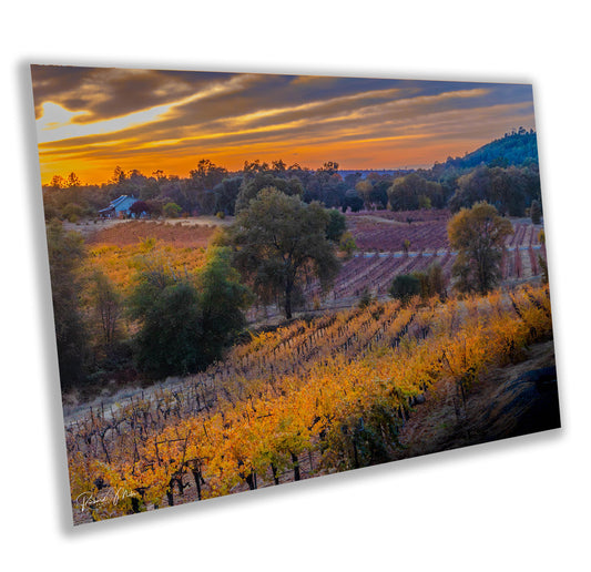 Winery Print, California Shenandoah Valley Iron Hub Fall Sunset | Canvas Wall Art, Fine Art Photography | home decor, office decor