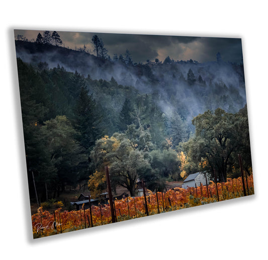 Winery Print, California Napa Valley Misty Vineyard Photo | Canvas Wall Art, Fine Art Photography | home decor, office decor