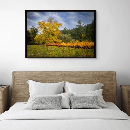 Winery Print, California Napa Valley Grapes to the Wind | Canvas Wall Art, Fine Art Photography | home decor, office decor