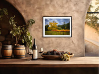 Winery Print, California Napa Valley Grapes to the Wind | Canvas Wall Art, Fine Art Photography | home decor, office decor