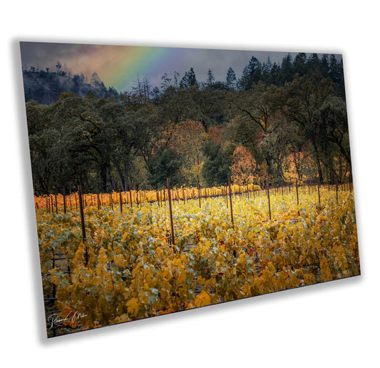 Winery Print, California Napa Valley Vineyard with Rainbow| Canvas Wall Art, Fine Art Photography | home office bar restaurant