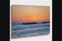 Pelicans at Sunset Fine Art Photograph: Half Moon Bay Coastal Print